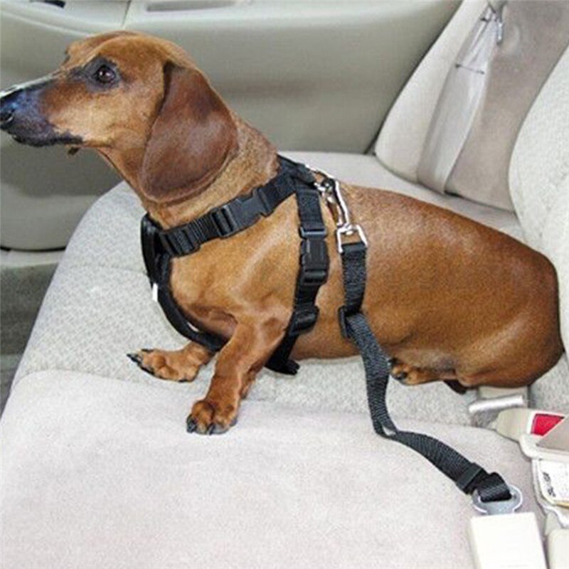 4 Kleur Hond Pet Autostoeltje Harnas Terughoudendheid Lead Leash Reizen Clip Veilige Autogordel Voor Alle Auto 'S halsbanden Harnassen