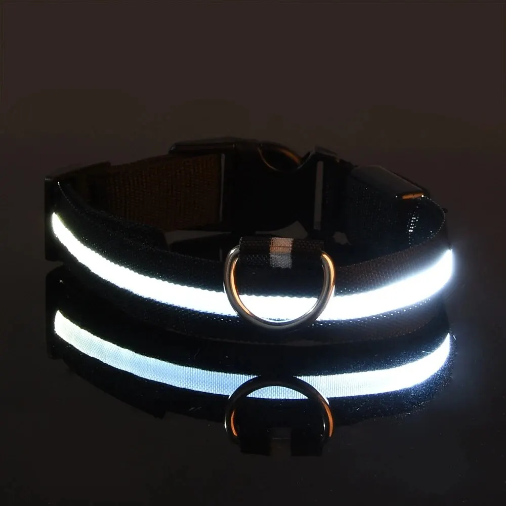 Collar de perro con luz LED, Collar de seguridad para caminar de noche, parpadeo que brilla en la oscuridad, Collar de batería para perro pequeño, mediano y grande: M / Negro