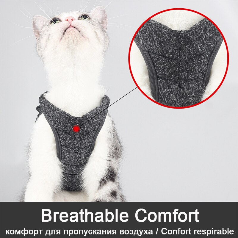 Cat Harness Leash Adjustable Safety Belt Vest Breathable Comfortable Cat Walking Lead Leash Kitten Small Dogs Pet Accessories