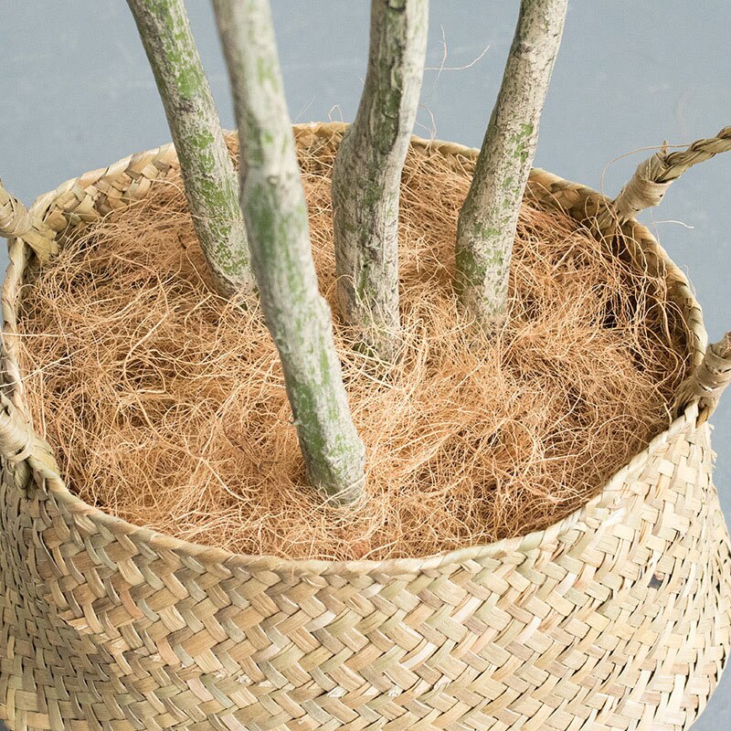 Newly Coconut Husk Fiber Orchids Crafts Pet Bedding Insect-proof Protect Plants Maintain Soil Temperature