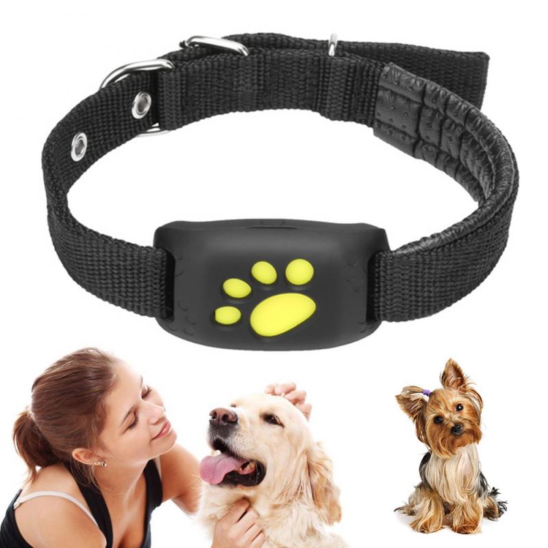 Localizador GPS inteligente a prueba de agua para mascotas, Collar rastreador para perros y gatos, collar ajustable, suministros para mascotas