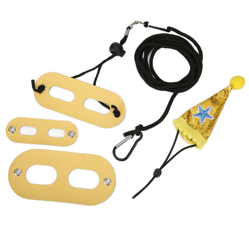 Conjunto de arnés de correa de lagartija, dragón barbudo ajustable para otros animales pequeños de compañía para anfibios: gold