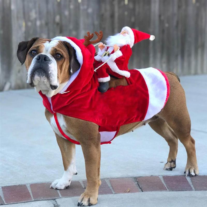 Disfraz navideño de perro, ropa de Papá Noel para montar a caballo, perro de Navidad con astas de renos, Gato lindo cálido, disfraces de Navidad para mascotas