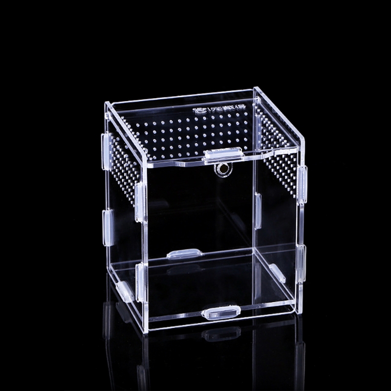Insect Feeding Box Transparent Container Acrylic Terrarium for Spiders Small Snakes Reptile Carrier Box Easy to Assemble