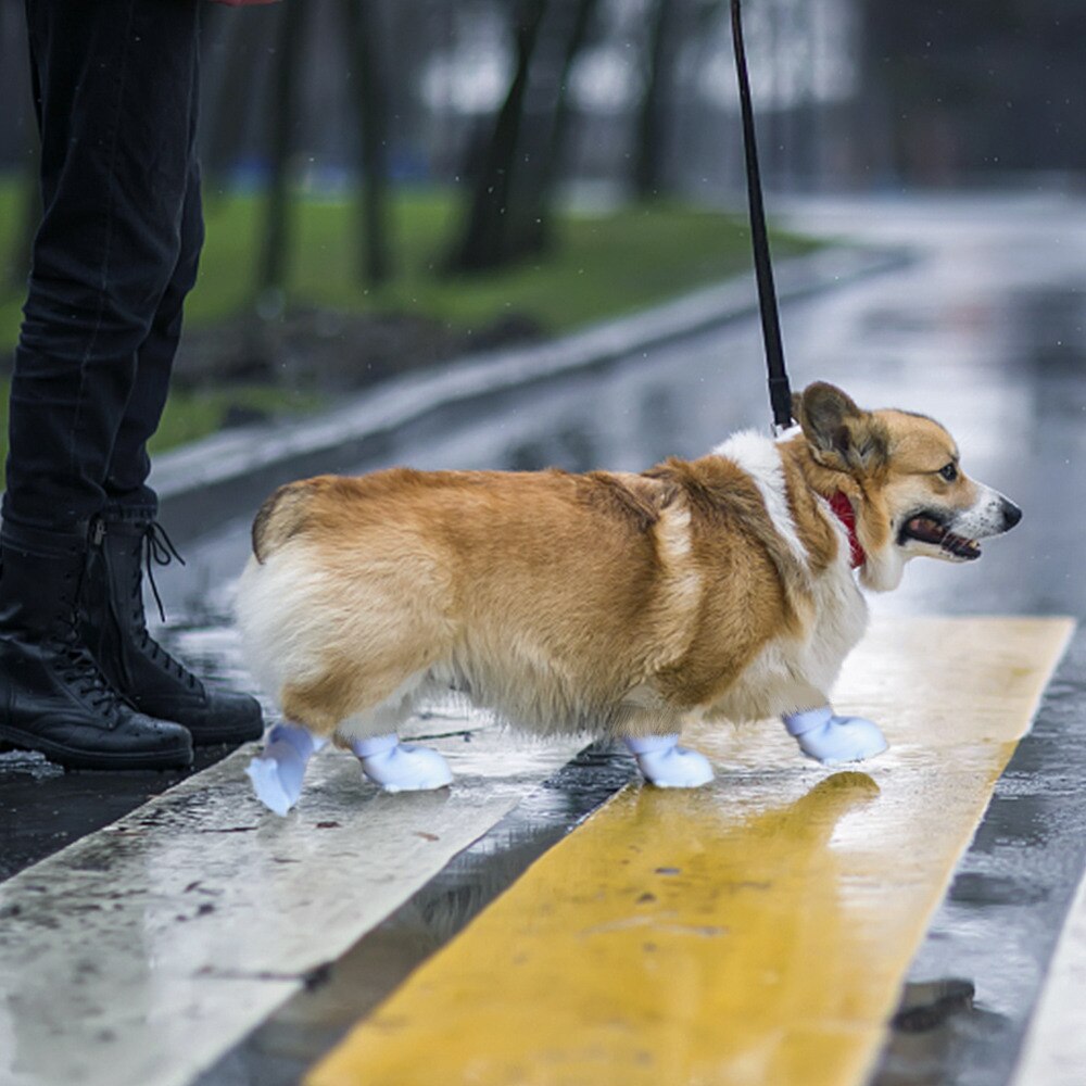 Buty na psy domowe buty przeciwdeszczowe wodoodporne buty dla kota anty-brudne kalosze na deszcz obuwie Chiens skarpetki szczeniak chihuahua Sneaker