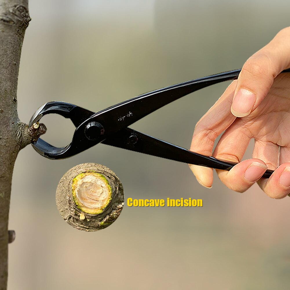 Cortacésped cóncavo de 8.27in, herramientas profesionales para bonsái, podadora de plantas, cortador de borde redondo para jardín, tijeras para principiantes, cuchillo, herramientas de jardinería