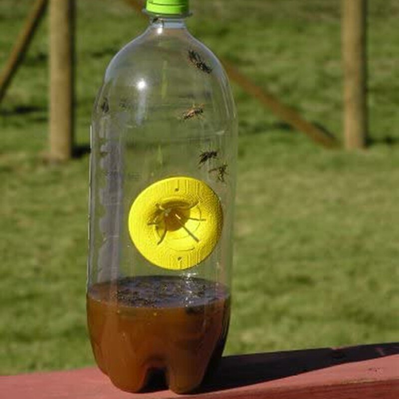 Trampa para abejas y tigres de Vespa 20 piezas Hornet, trampa para abejas, utensilios para Herramientas de apicultura, Hornet de cosecha