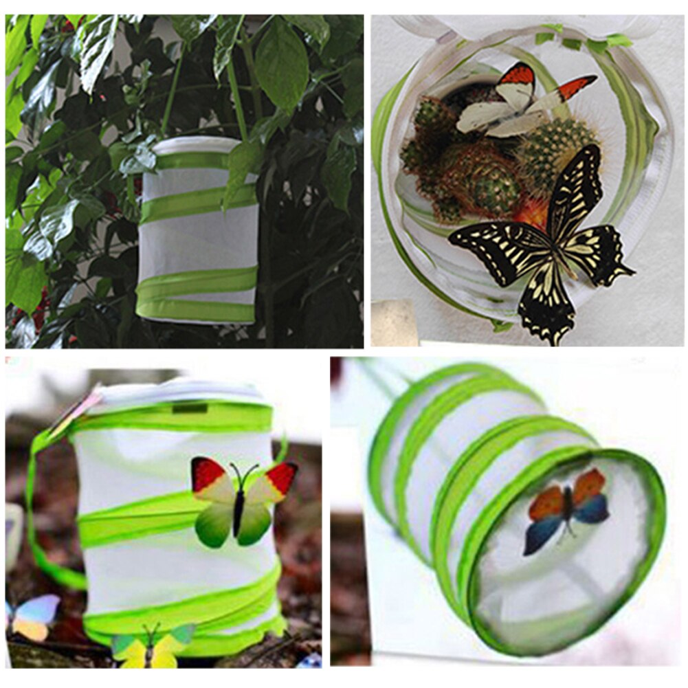 Folding Insect Mesh Cage Butterfly Dragonfly Mantis Breathable Habitat Cage Breeding Feeding Container Catching Terrarium