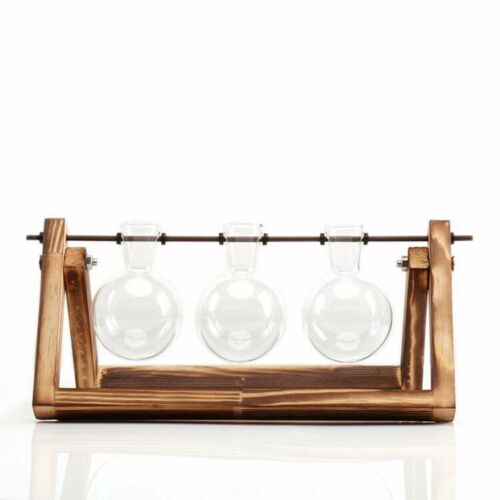 soporte de madera vidrio terrario contenedor hidropónico maceta para flor florero de mesa DIY Home Office decoración de boda