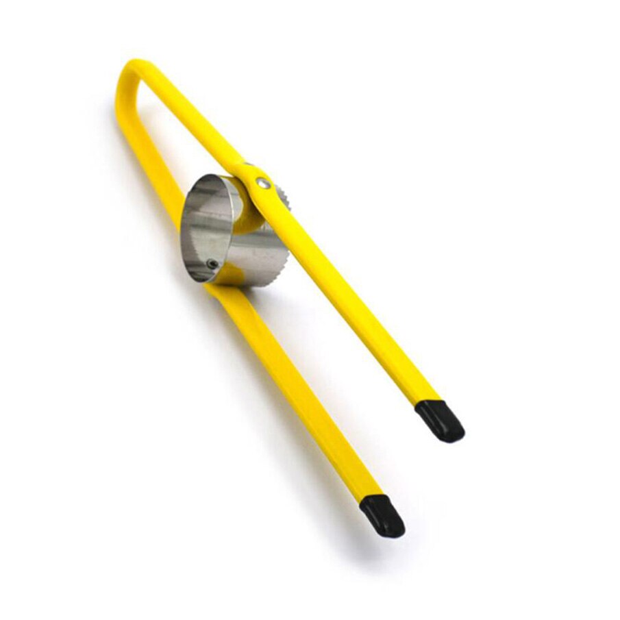 QTOCIO Grattoir à Maïs En Acier Inoxydable, Éplucheur De