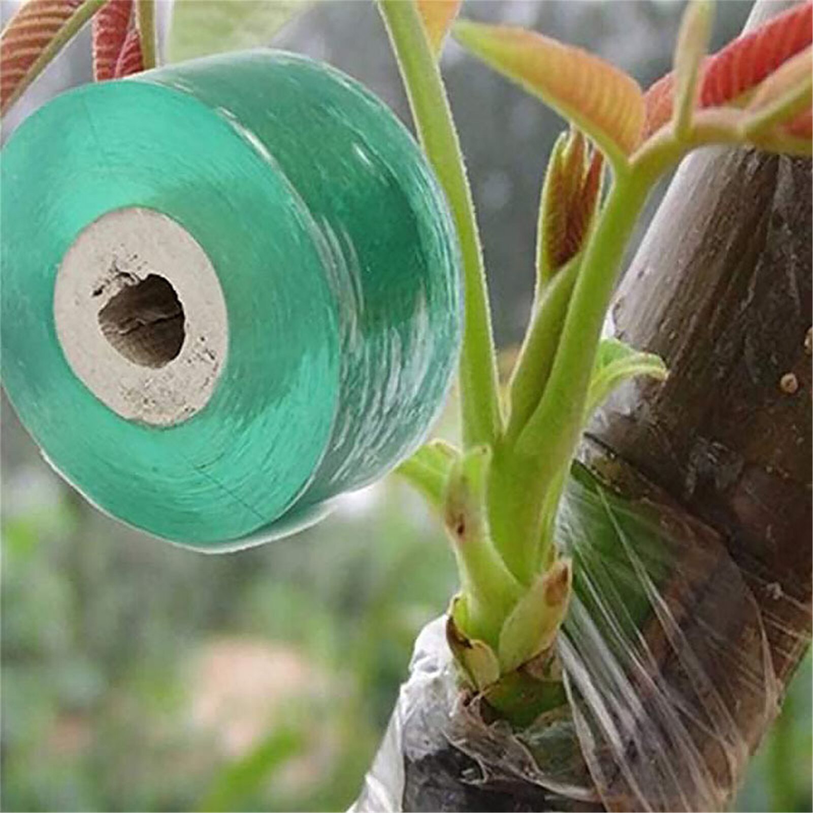 2 Rolls 100M Tuin Enten Tape Enten Film Bloemen Stem Voor Garland Fruit Boom Rekbaar Plant Enten Membraan