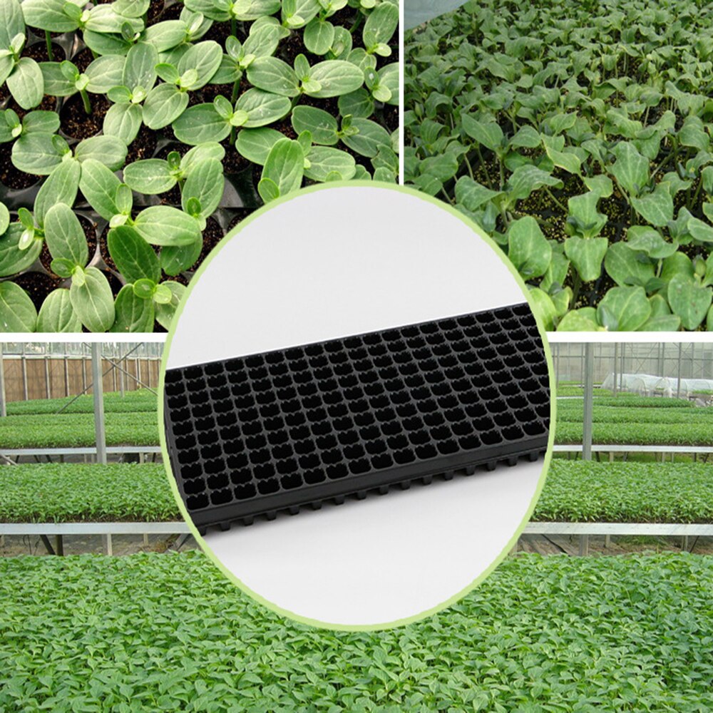 200 Cell Starter Tray Germination Plant Growing Starting Propagation