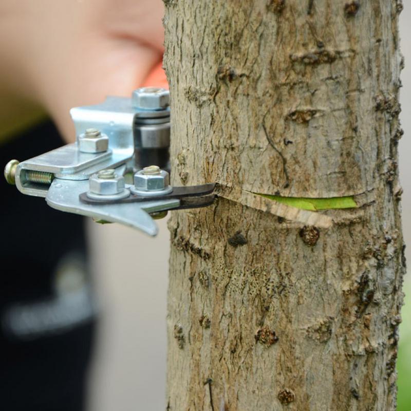 Obcinak robić pierścieni kory drzewa Regulowane nożyczki robić gałęzi drzewa Obcinak robić pasowania kory Nożyce robić obierania Narzędzie robić przycinania Ogrodowy ściągacz robić owoców