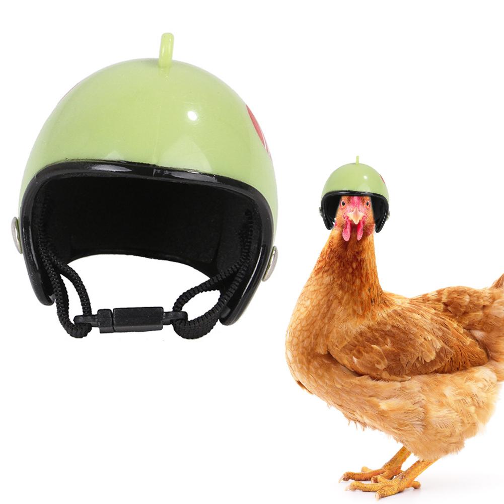Casque Portable de poulet pour animaux domestiques | Casque de protection amusant de poulet, casque de poule, chapeau dur d'oiseau, couvre-chef avec bande élastique, accessoires de volaille: Green love