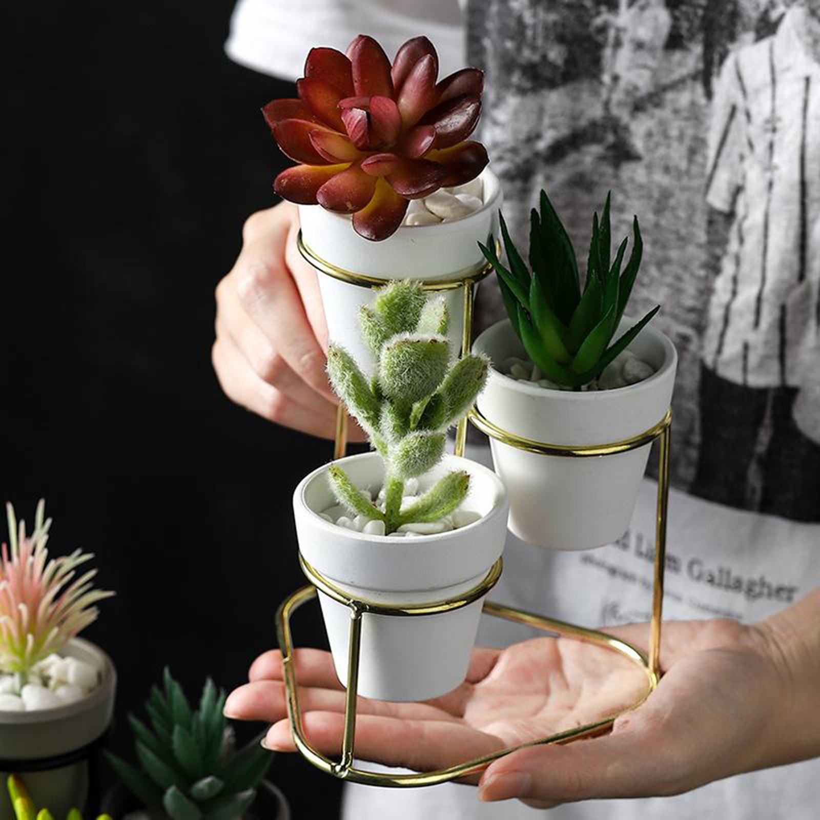 3Stck Mini Keramik Sukkulente Topf Blumentopf Pflanzer Metall Ständer einstellen Anzeige für Heimat Garten Liefert