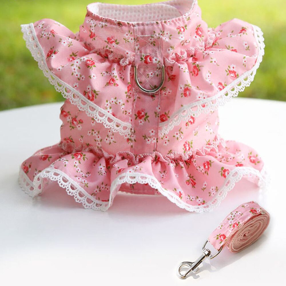 Fascia in neoprene Macks EarBand per il nuoto (protezione per le orecchie
