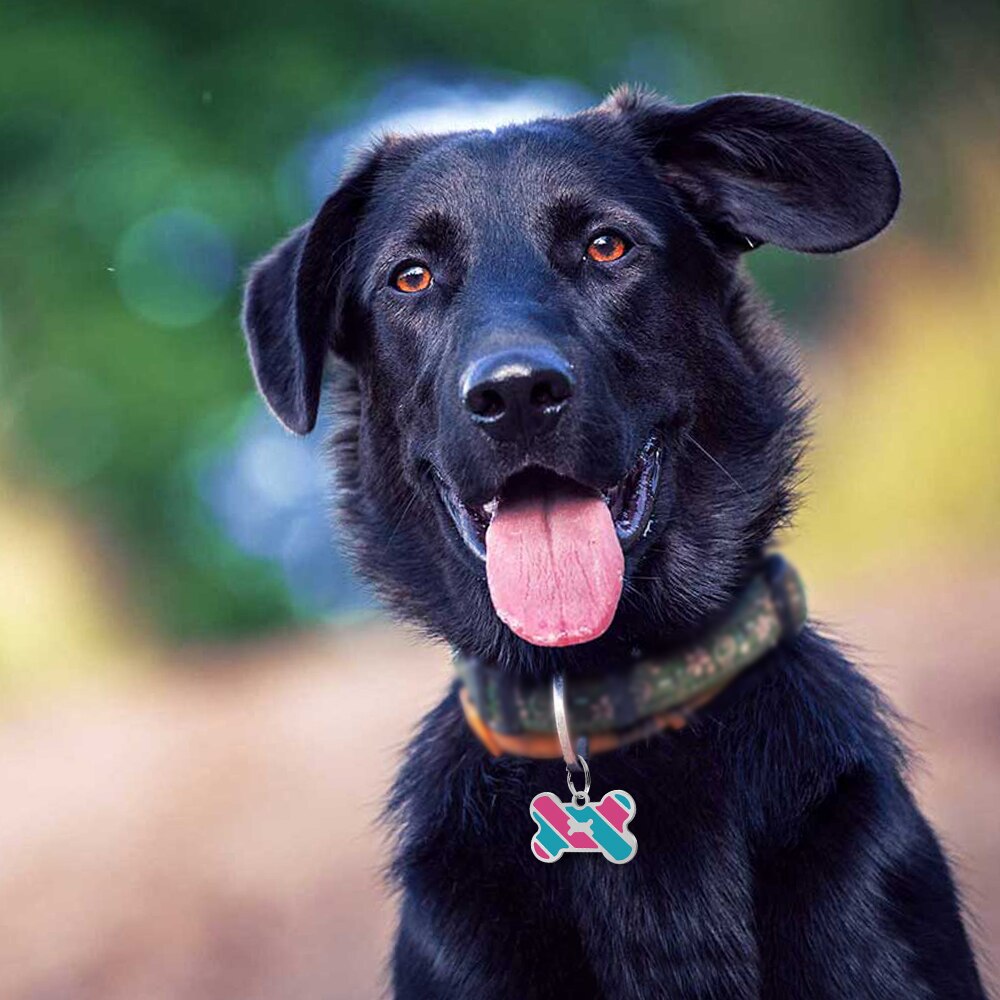 20 stk/parti hunde-id-mærke knogleform kæledyrsnavnemærker anti-tabte hunde navneskilt mærker vedhæng til halsbånd hund tilbehør