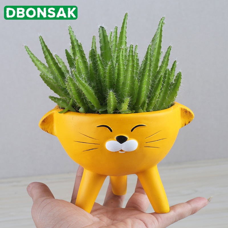 Tegneserie dyr keramik urtepotte ugle kanin kat gris keramik sukkulent plante potte vase dyr skulptur hjem havedekoration