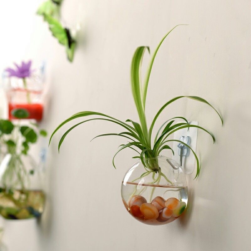 Florero de cristal con forma de globo de terrario, colgante transparente, maceta, maceta para pared, recipiente acuario, decoración para el hogar