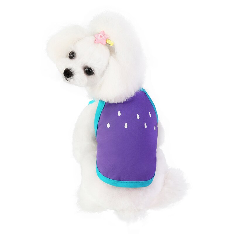 Summer Dog Clothes Puppy Chihuahua Pets Clothing for Small Medium Dogs Vest Fruit Watermelon Dogs Costume Clothing