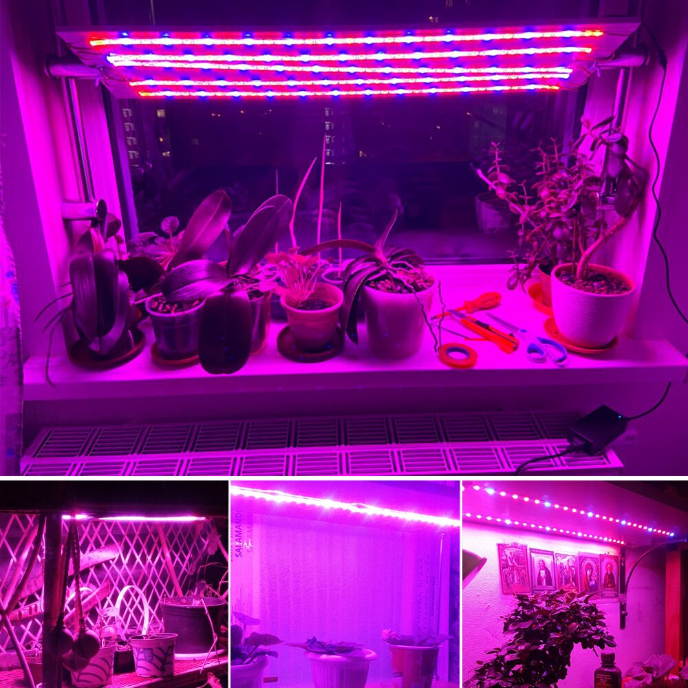 Plant Grow Light Strip Full Spectrum Phytolamp 5m LED Strip Lamp for Plants Flowers Dimmable Phyto Tape for Greenhouse Grow Tent