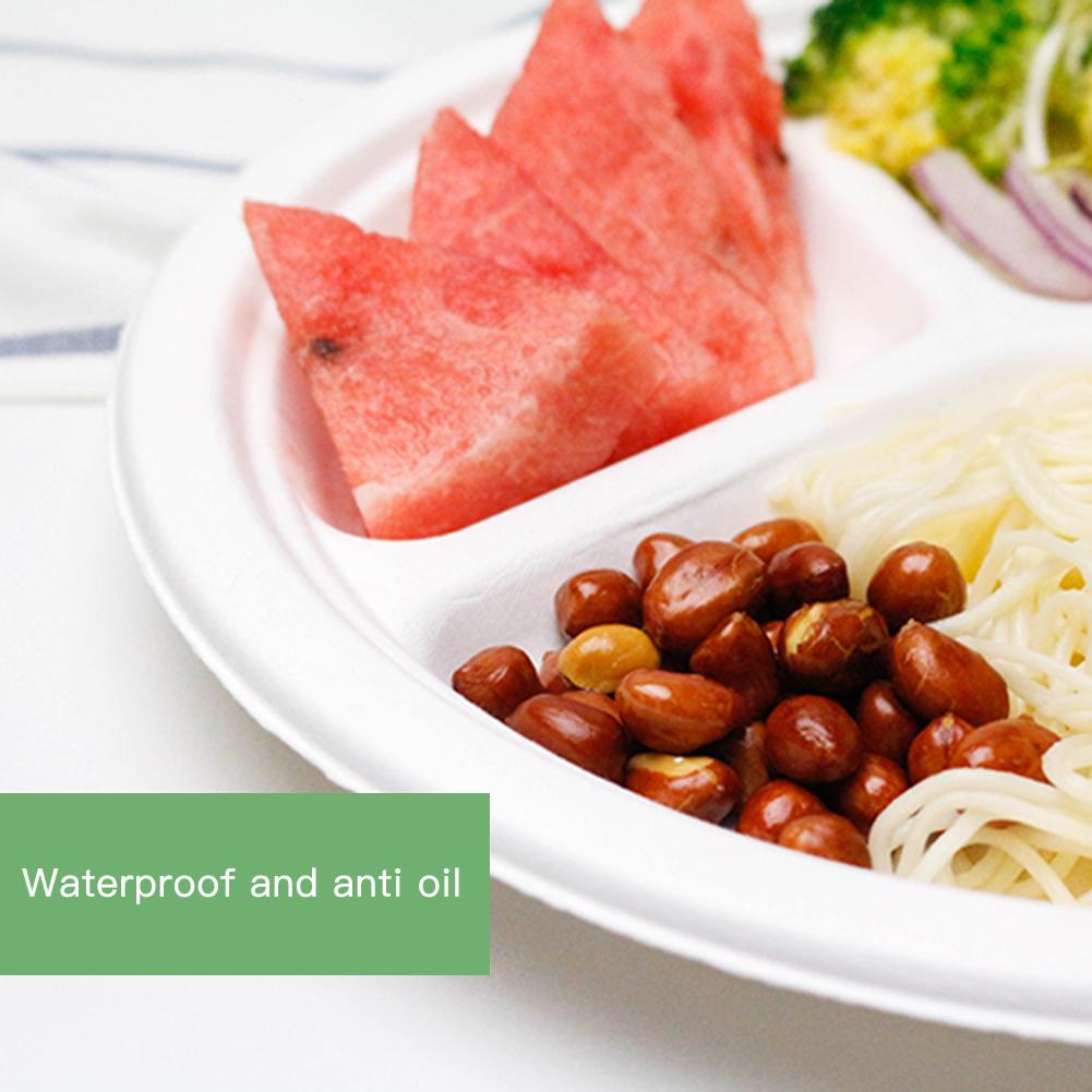 100Pcs/lot Disposable Paper Plate Cake Partition Environmental Protection Cup Original Site Sugar Cane Pulp Plates Generous 10in