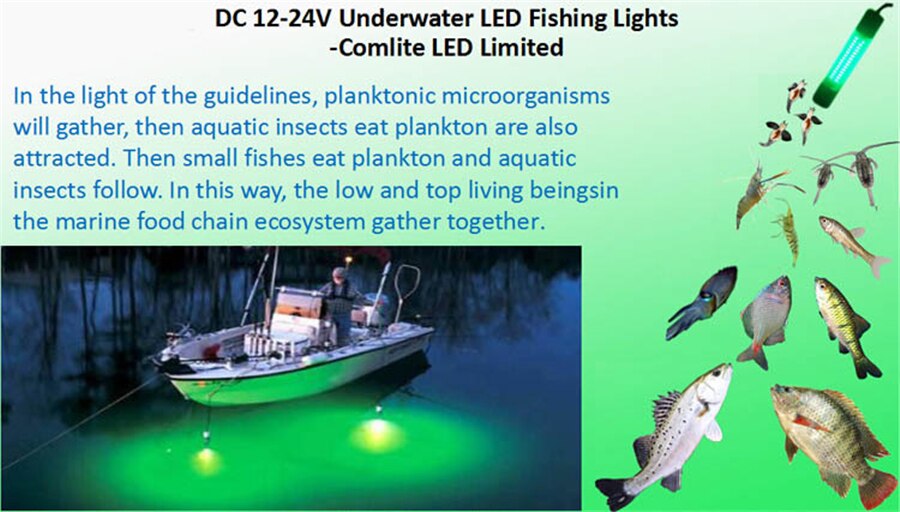 12V 30W LED Green Underwater Submersible Fishing Light Boat Squid Fish Lamp