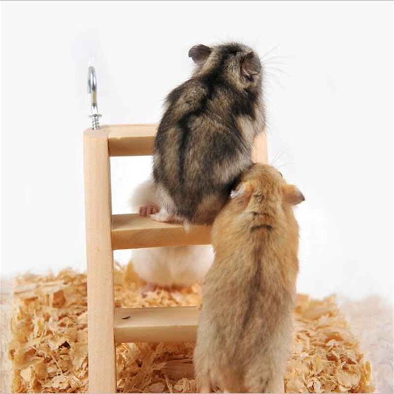 Hout Klimmen Ladder Met Haken Voor Hamster Knaagdieren Kleine Dier Chew Speelgoed Houten Brug Eenvoudig Te Installeren