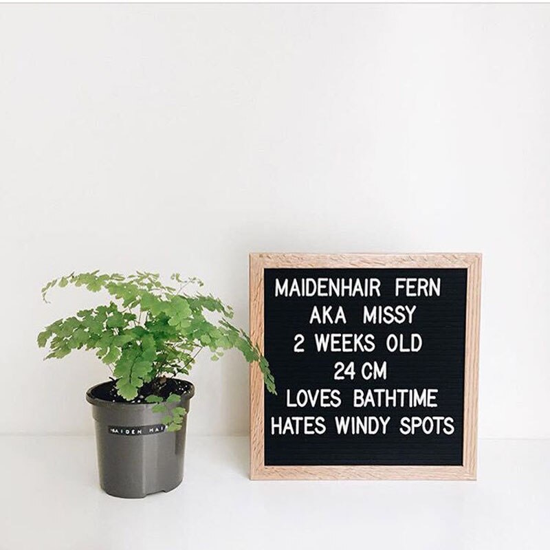 Family Felt Letter Message Board Baby Picture Frame Kids Photography Growth Commemorative Room Decoration