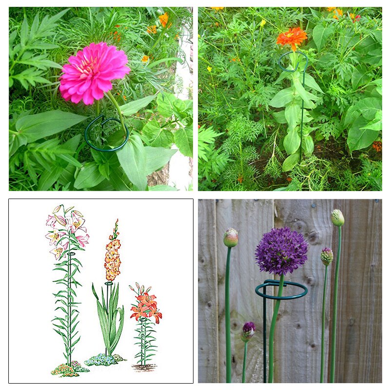 Round Shape Plant Stem Support Ring Cage Garden Iron Plant Border Support Wire Hoop Potted Stent Metal Plant Stand Tool