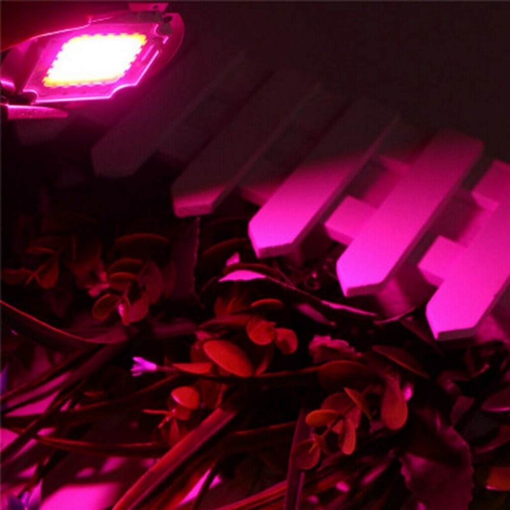 Full Spectrum COB Plants grow light chip 10W - 100W led flowering Hydroponic growing beads Chips Grow Lamp LED