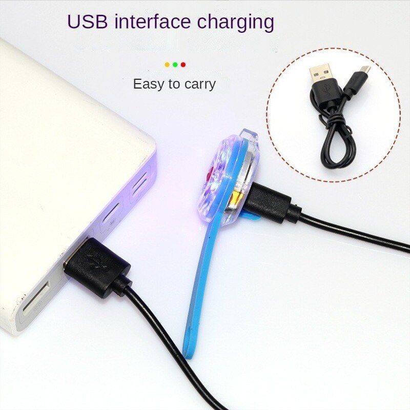 Collier lumineux LED avec chargeur USB pour chien, pendentif de nuit, accessoires Anti-perte, étiquette lumineuse pour chien