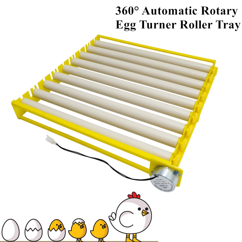 Automatische Roller Eierbak 360 ° Roterende Eierdraaier 220V Eieren Incubator Patroon Ei Incubatie Accessoire Voor Vogelkip