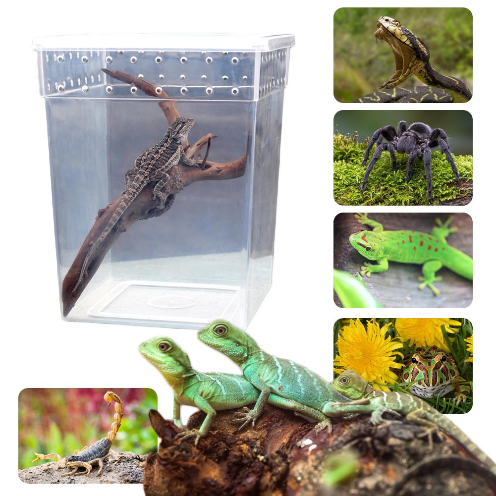Reptil matningslåda genomskinlig klätterfodral för djur för att uppfostra djur spindel gecko horn groda orm skorpion orm foderfodral
