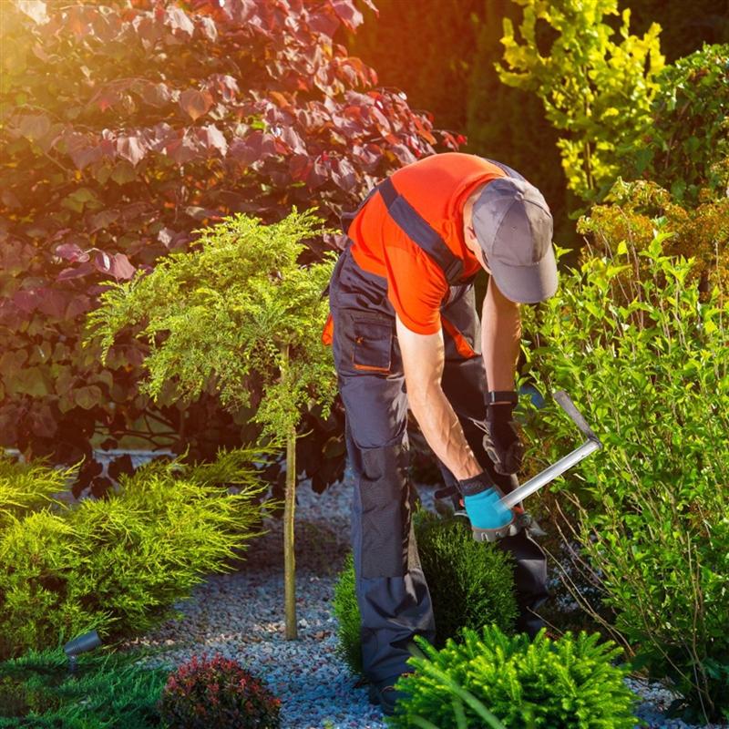 1 ensemble d'outils à main pratique ensemble d'outils de jardinage pour pot de fleurs plage