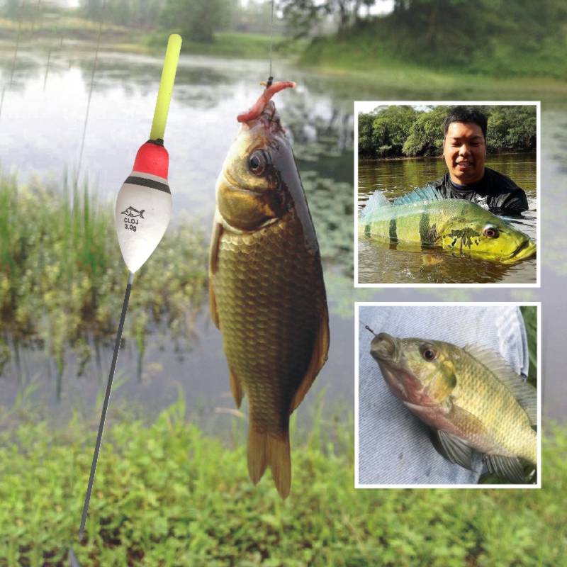 Topline Visgerei Float Bobber Visdobbers Verticale Pesca Voor Karper Waterdichte Camera Foam Drijvende Pols Fishingfloating