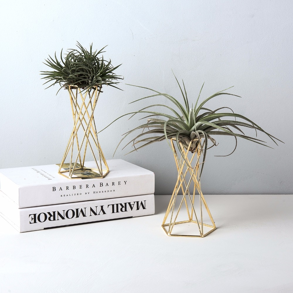 Set of 2 Air Plant Stand Air Plant Holder Tillandsia Holder Air Plant Display Stand Streptophylla Air Plant Stand
