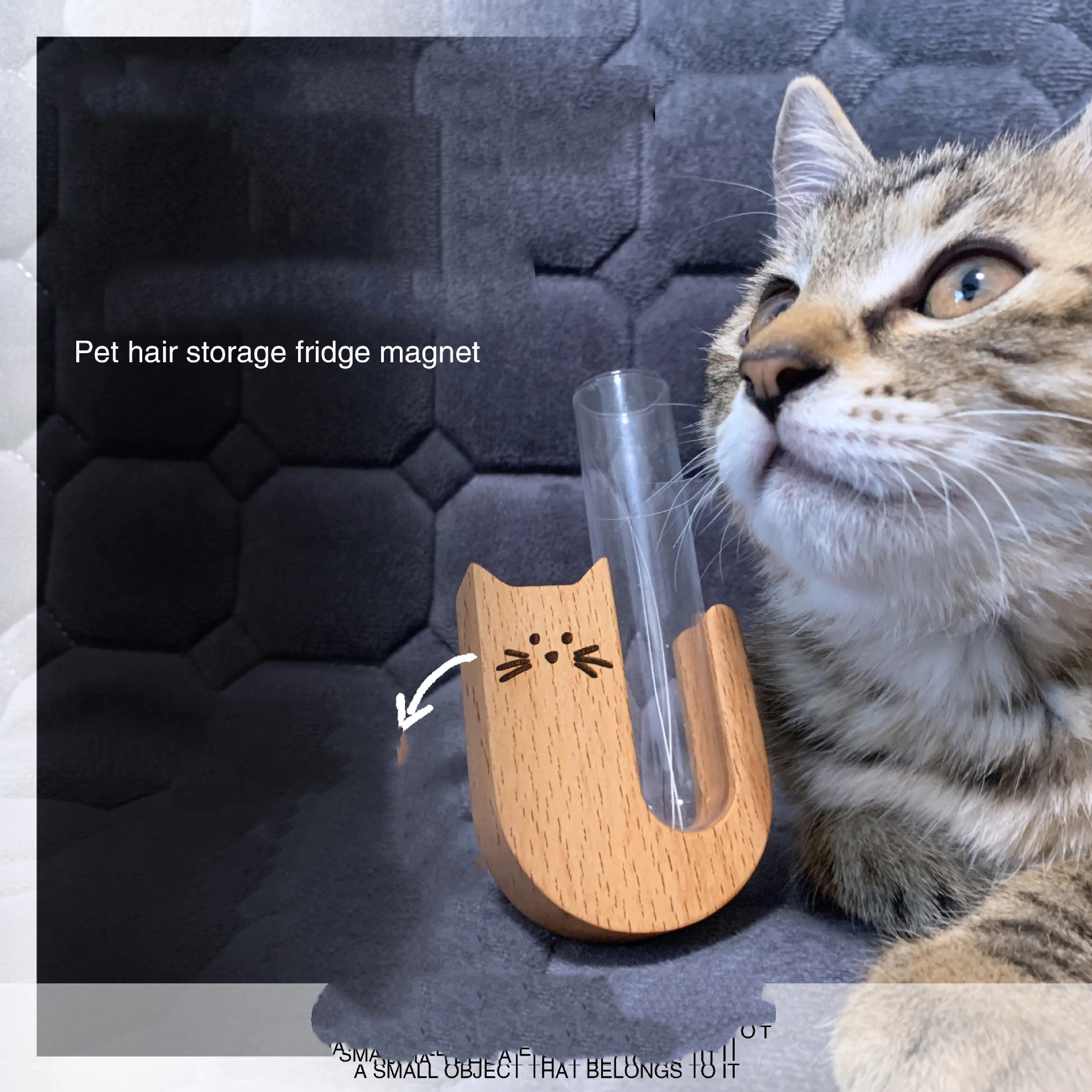 Cat Beard Magnet Storage Jar Cat Whisker Collection Bottle Pet Hair Storage Magnet Vase Wooden Holder Refrigerator Magnet Decor