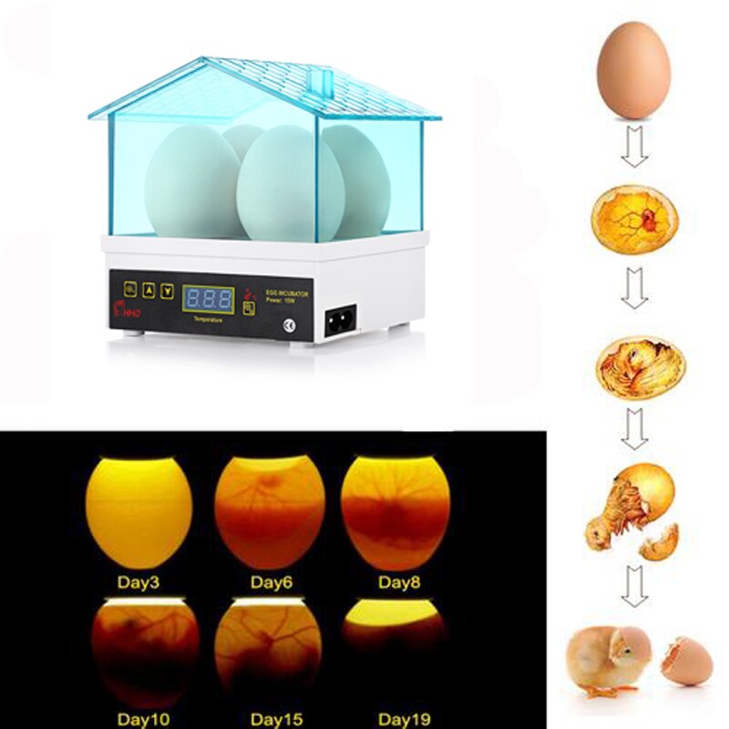 Automatic Breeding Machine 4 Egg Brooding Machine Field Breeding Machine Incubator Chicken Duck Poultry Intelligent Incubator