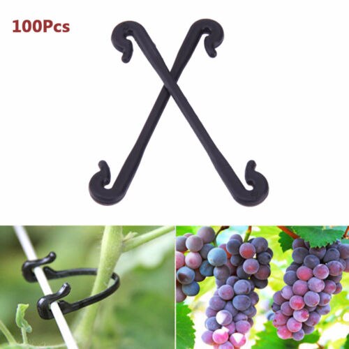 Cordel de sujeción para plantas, pinzas para tomate, enrejados de jardín, enredadera, soporte para sujetar plantas, 100 Uds.