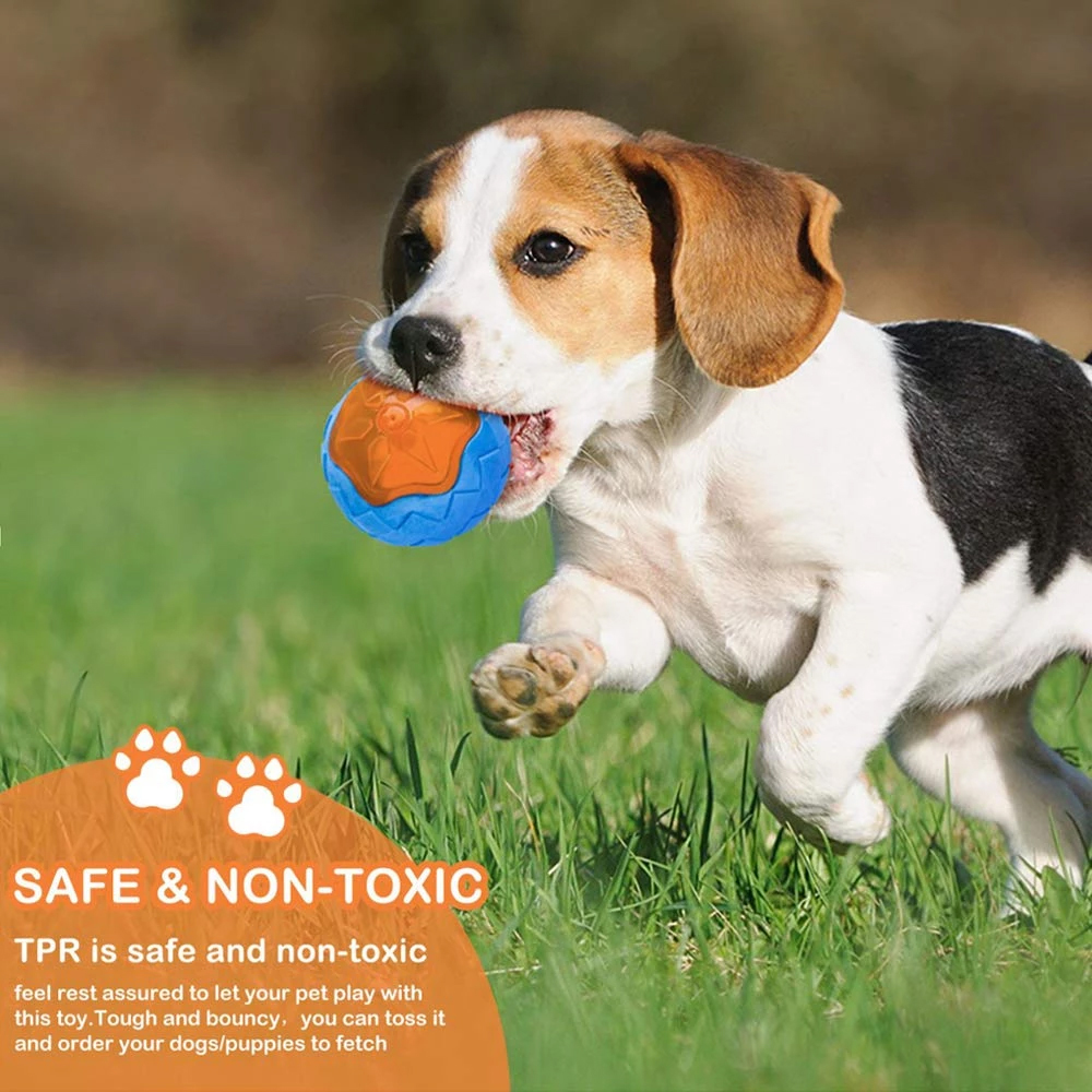 Chewing Big Dog Toys Rubber Bite Resistant Squeaky Training Playing Toy Interactive Dog Toys for Large Medium Dogs Teeth Clea