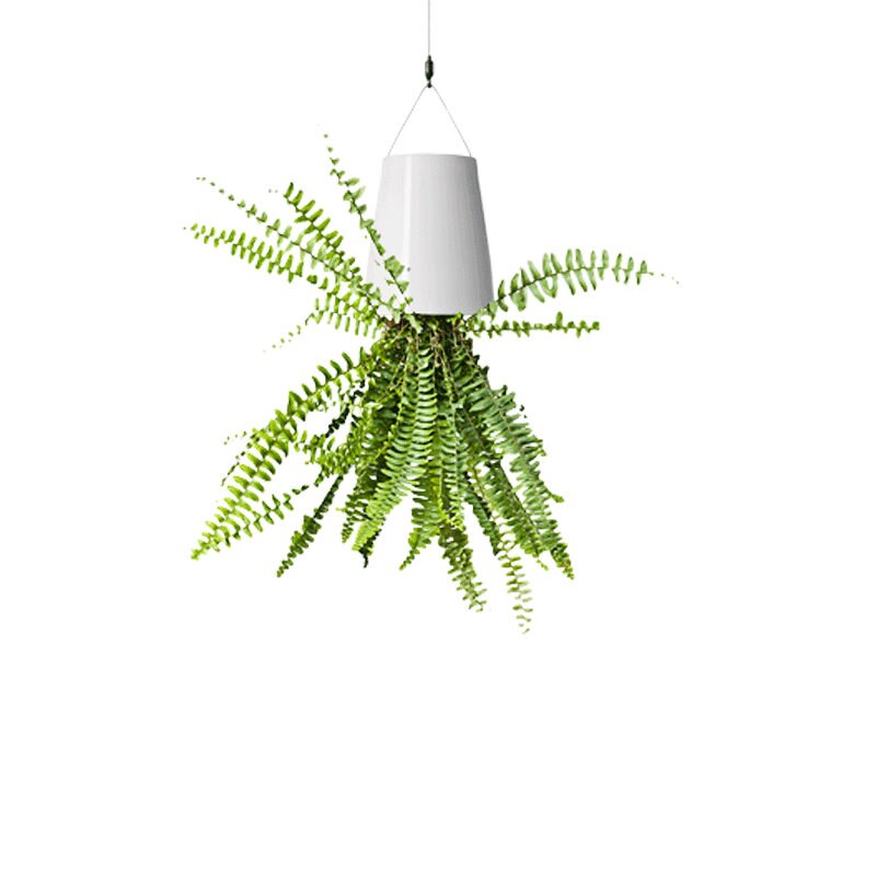 Large Plastic Sky Hanging Planter Decorative Upside-Down Plant Flower Pot Planter for Indoor Garden Decoration