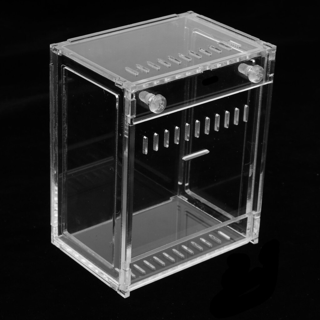 Reptile Terrarium Amphibian Habitat for Mini Pet Houses Acrylic Box Clear