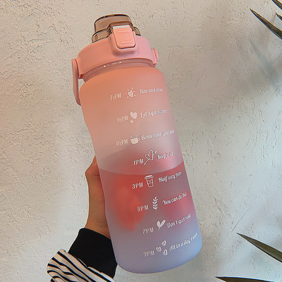 2L Large Capacity Water Bottle Straw Cup High Temperature Plastic Water Cup Time Scale Frosted Outdoor Sports Student Couple Cup: A-Matte Pink Blue