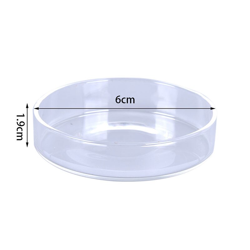 Cuencos de alimentación de cristal transparente para acuario, bandeja alimentadora de comida de gambas para comer, redondo, barato, , 1 unidad: N1
