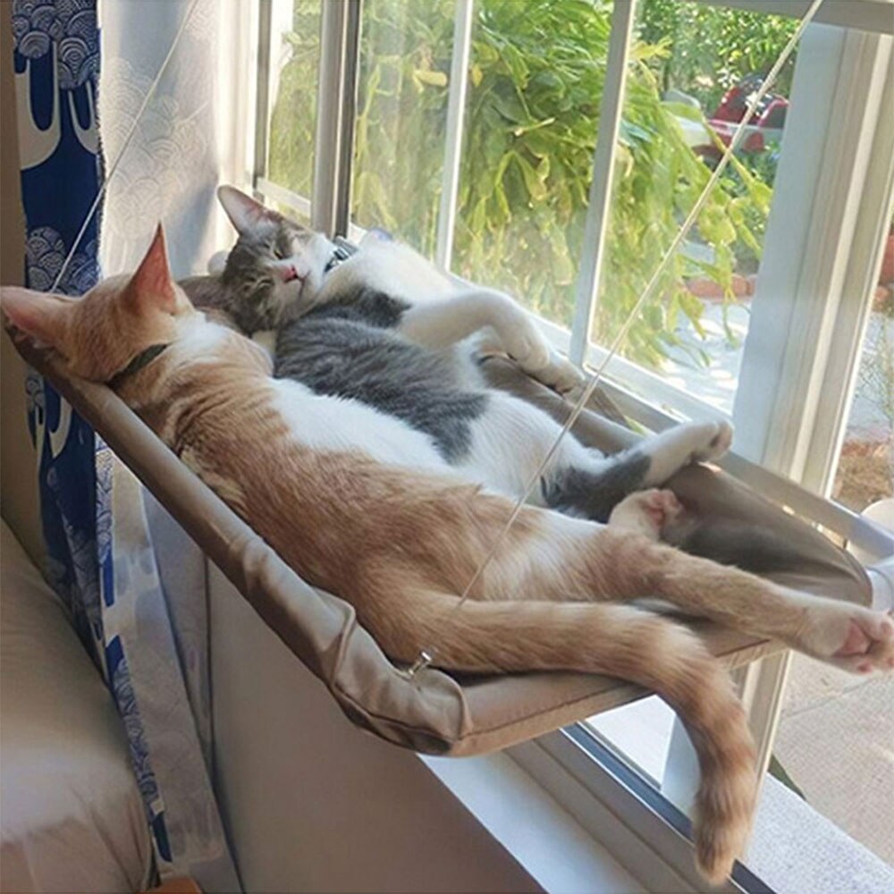 Hamac d&#39;intérieur avec fenêtre pour chat, siège solaire à 360 °, support de repos amovible, étagère permettant de gagner de l&#39;espace, lit pour chat, jusqu&#39;à 38lb