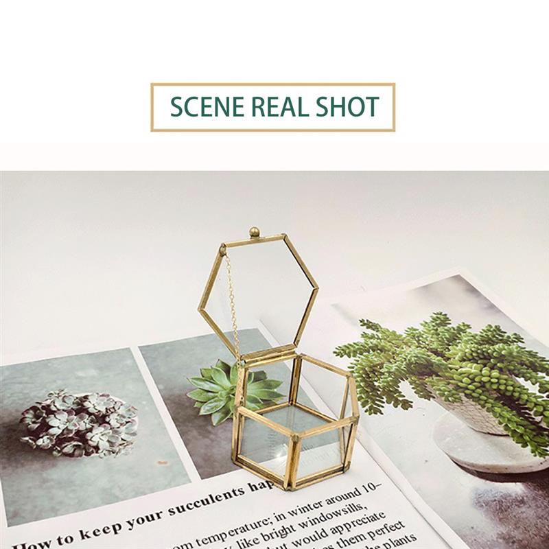 Geometrische sieradendoos van helder glas, sieradenhouder, trouwringhouder, ketting, armbanden, oorbellen, sieradenopslag