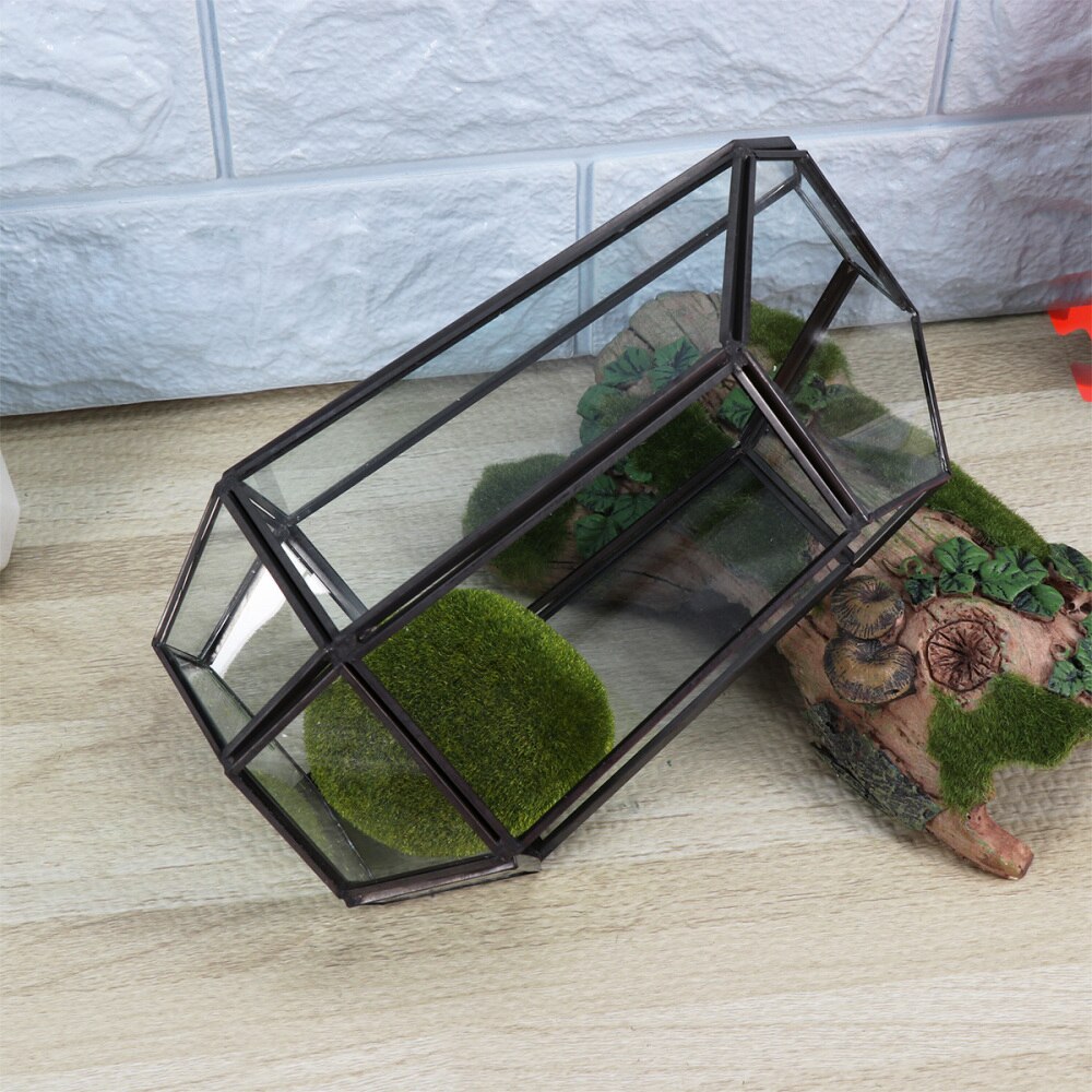 1PC Clear Glass Geometric Terrarium Tabletop Succulent Plant Box Planter Landscape DIY Home Decoration