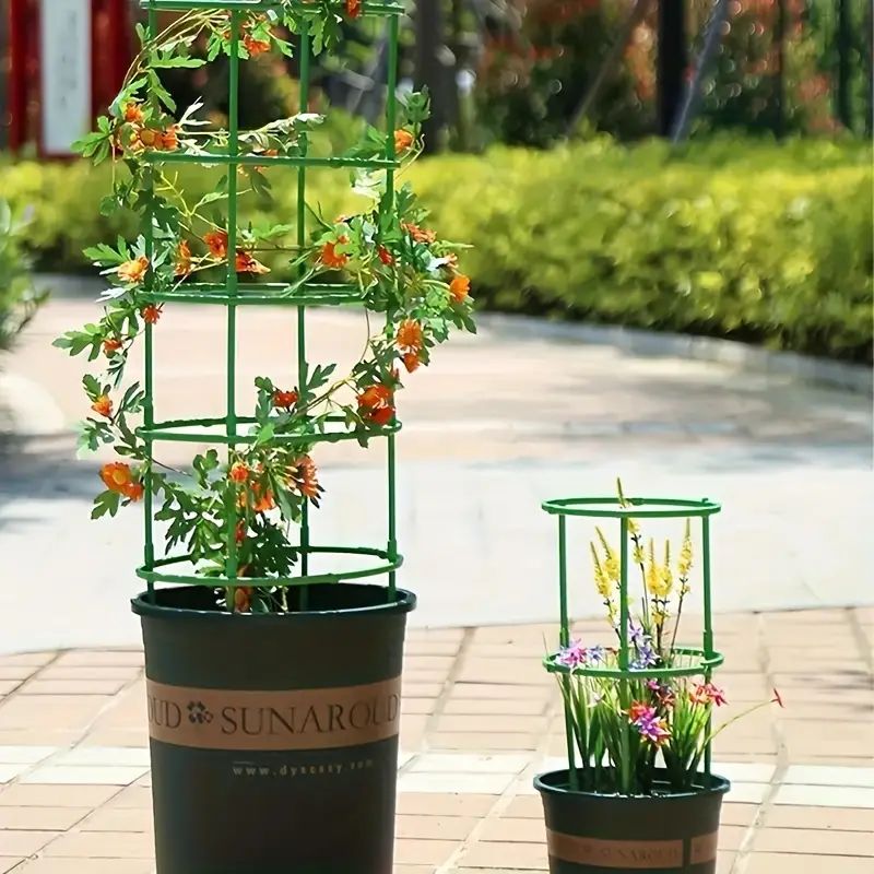 Piquets de Support pour plantes, treillis demi-cercle pour plantes en pot, bonsaï, Support de fleurs de vigne, Clips à tige fixe, outils de jardinage, 6 à 36 pièces