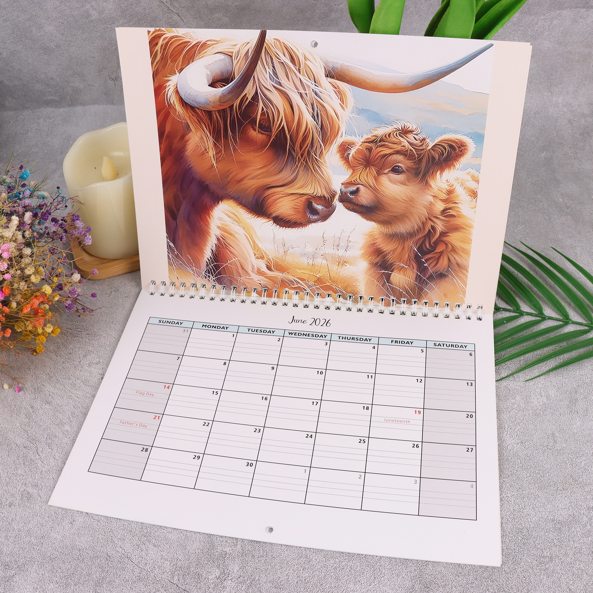 Highland Cow Wall Calendar - Scottish Cattle Daily Planner, Yearly Schedule & Month Notebook for Home Office Decor